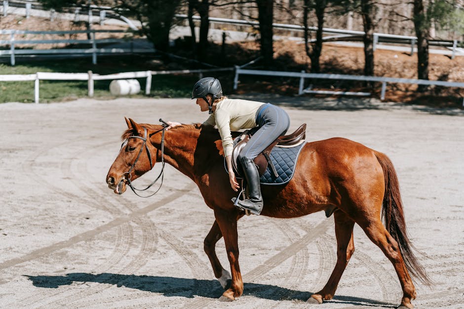 Building Confidence in Nervous Riders: Practical Strategies That Work
