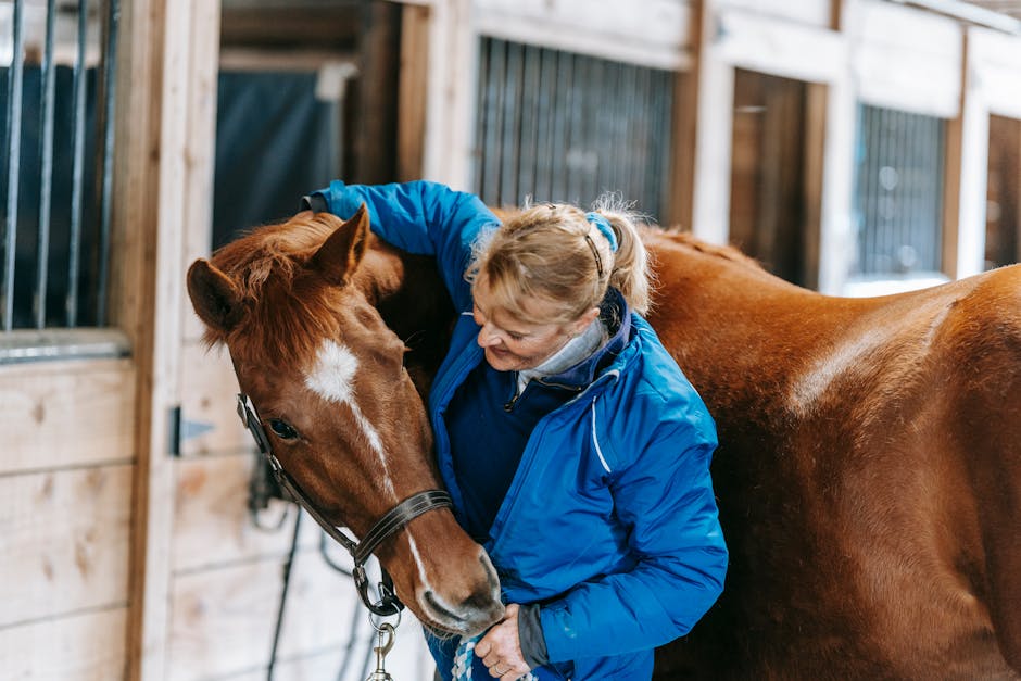 Understanding Equine Therapy: How Horses Help With Mental Health