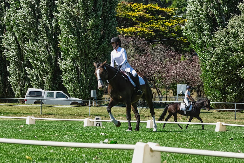 Running a Sustainable Equestrian Centre: Business and Animal Welfare