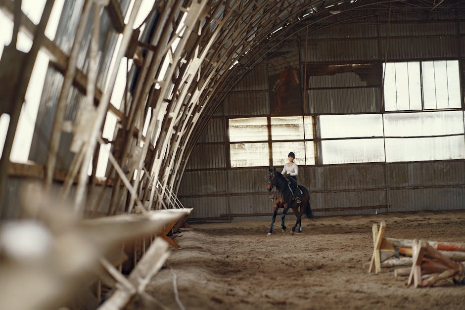 Creating a Safe and Inclusive Riding Environment for All Abilities